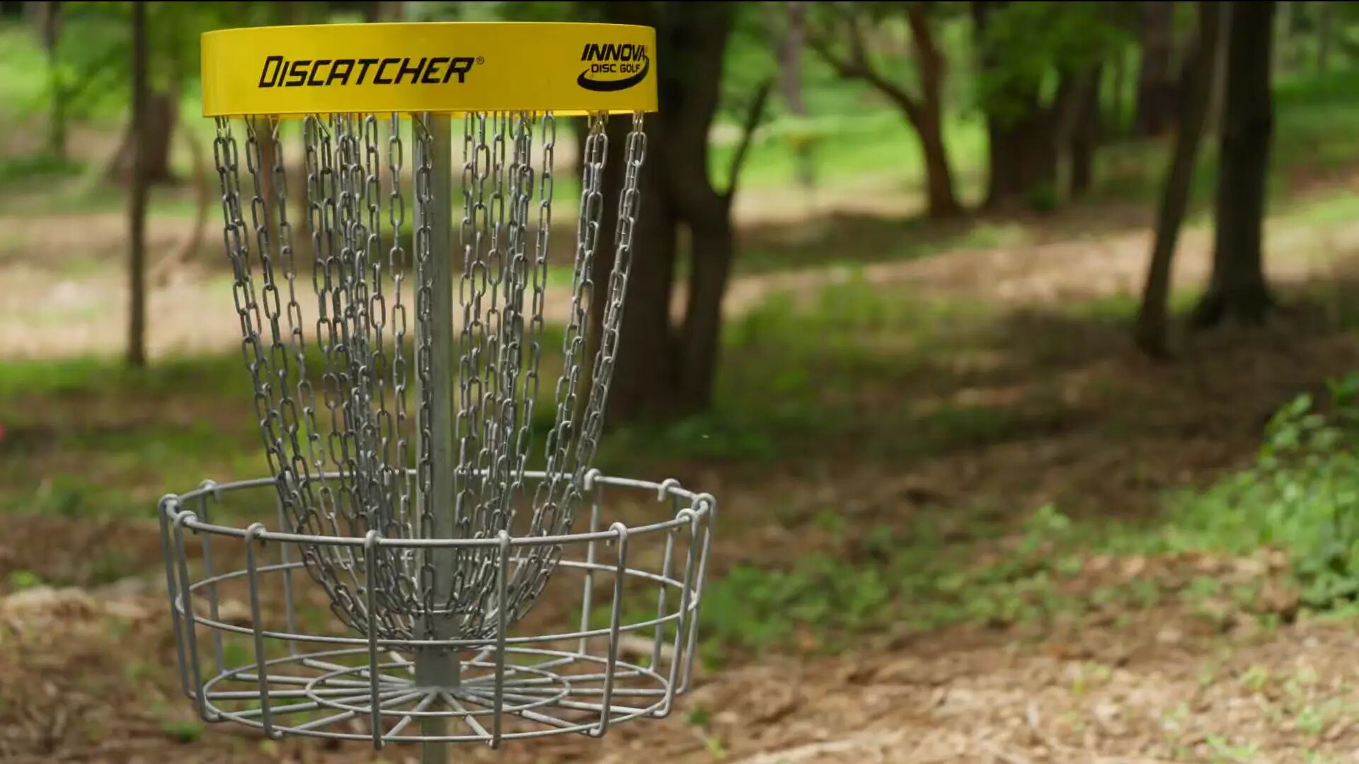 Innova Discatcher basket set among trees at the park
