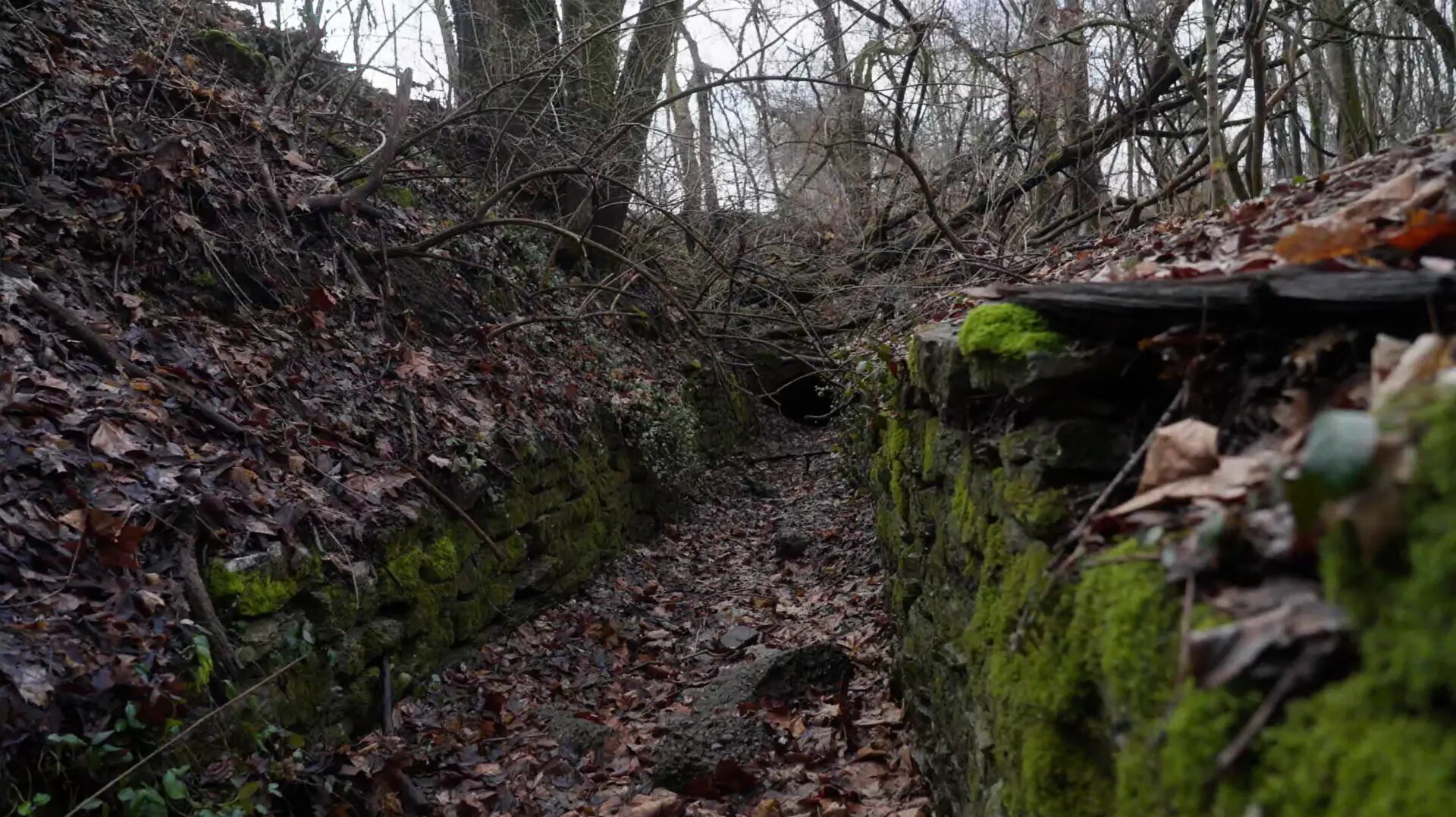 Moss-covered limestone ruins on the park property